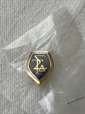 Vintage Sigma Tau Delta Pin - English Honor Society